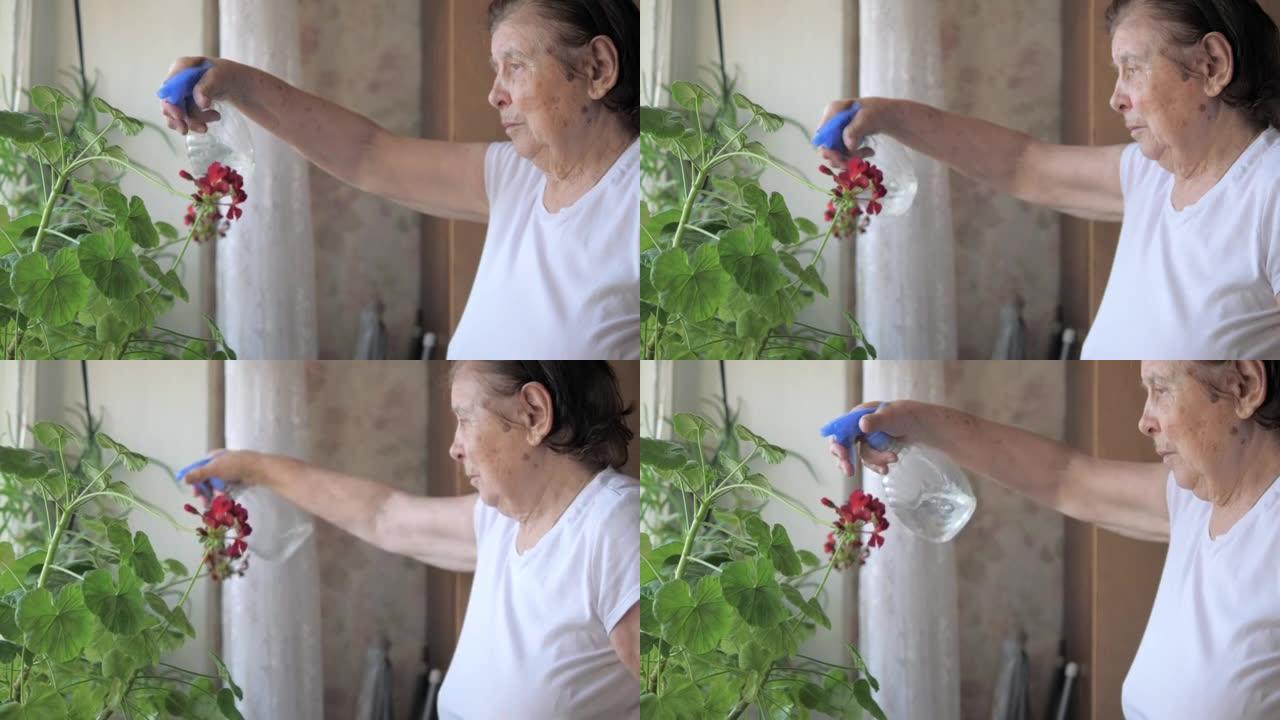 患帕金森病的老妇人在房子里用鲜花喷水