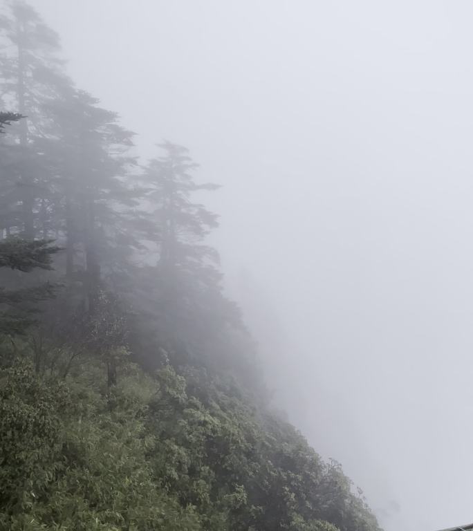 瓦屋山特别大的雾