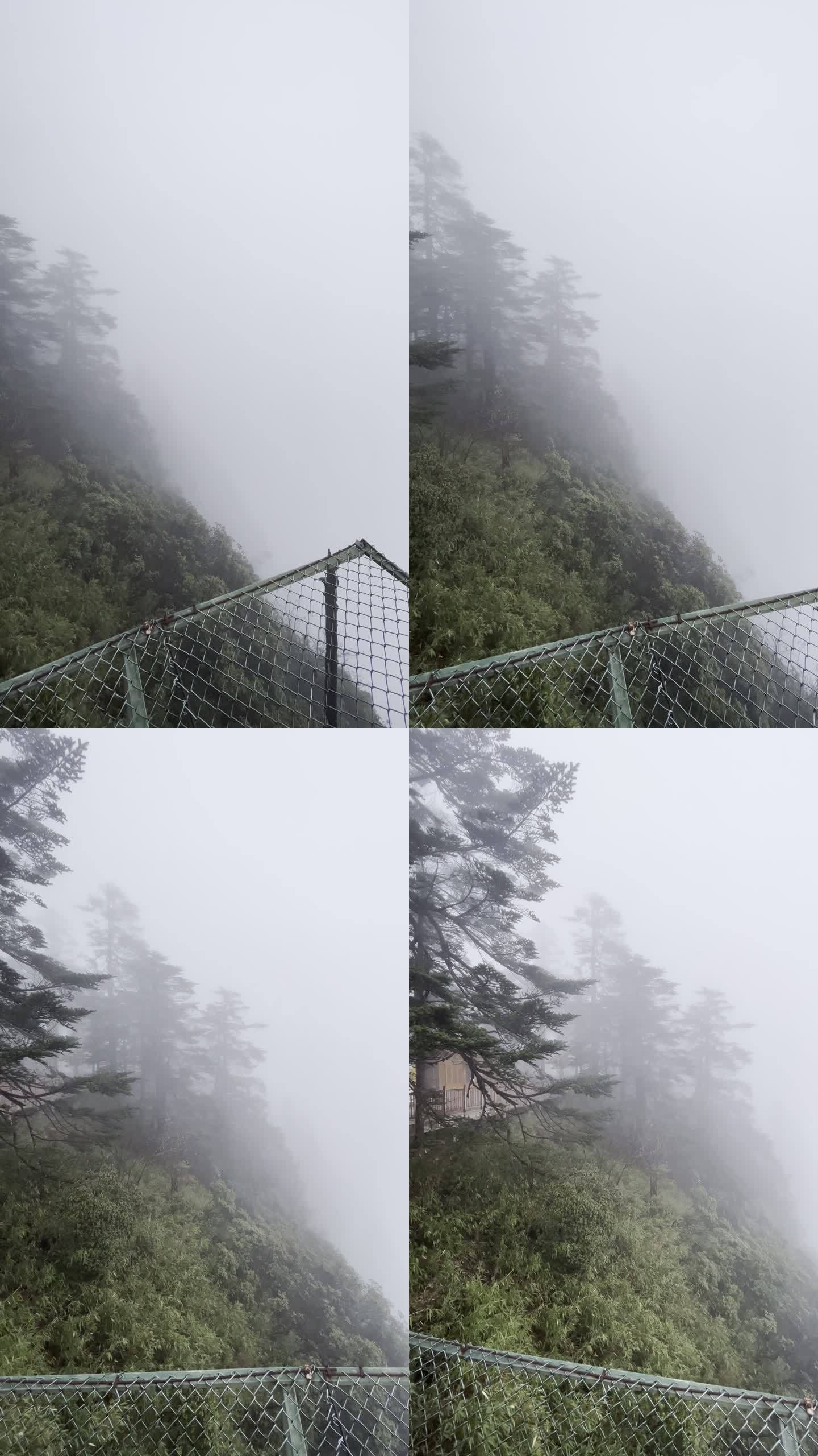 瓦屋山特别大的雾