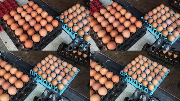近距离观察鸡蛋和一个农民从一堆鸡蛋中取出鸡蛋，然后将其放入纸箱中，然后在细胞鸡蛋托盘中出售，以供市场