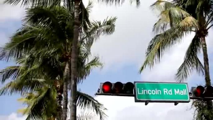 林肯路上的棕榈树