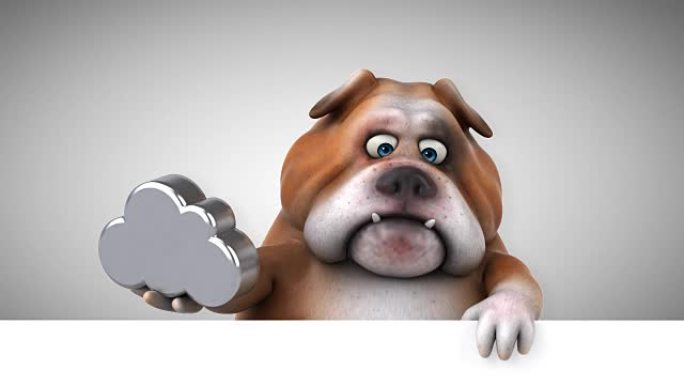 有趣的斗牛犬-3D动画