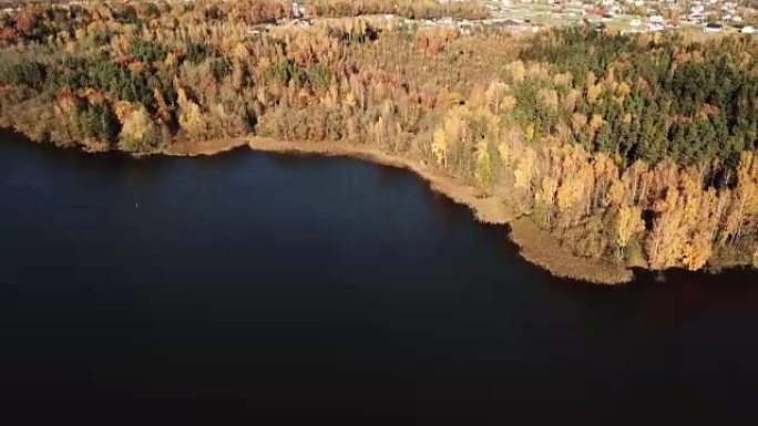空中拍摄秋天的海岸森林。