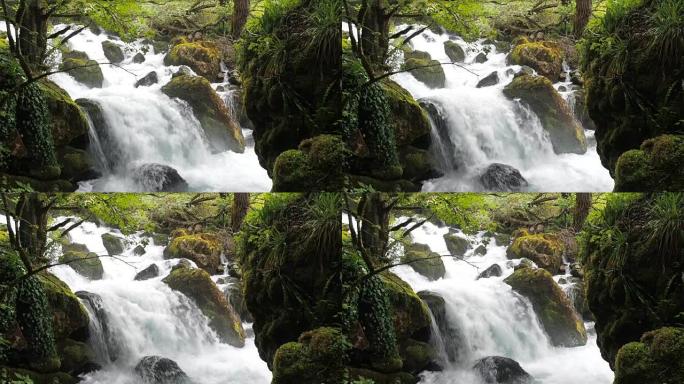 潮湿的热带森林中的瀑布。暴风雨般的山河。干净的水上升，泡沫。带有喷雾慢动作平面视频的暴风雨尖峰流