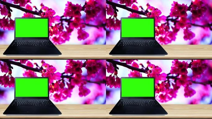 Laptop computer view with green screen on the empt