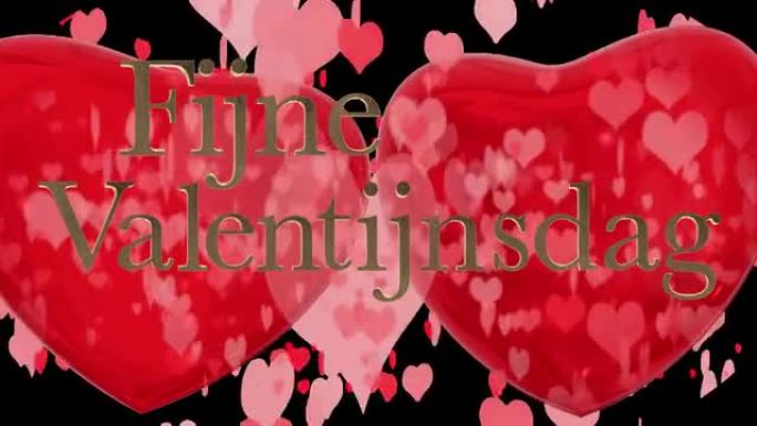 荷兰情人节快乐短语，Fijne Valentijnsdag带有两个跳动的3D红心和移动的心形粒子，在