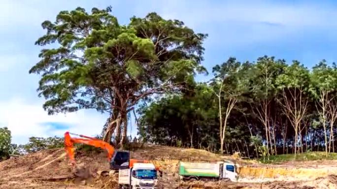 砍伐森林的挖掘机清理土地