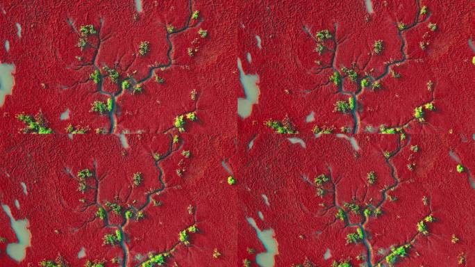 4K超清辽宁盘锦红海滩颜色红色辽河口