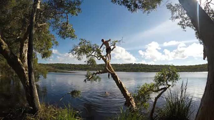Diving in the water at a lake on Fraser island