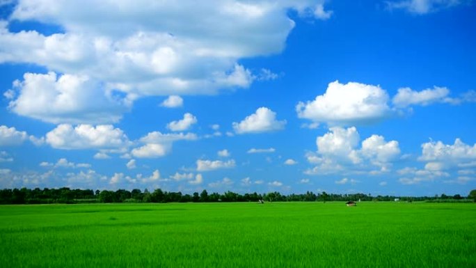 背景在美丽的农场上移动云层