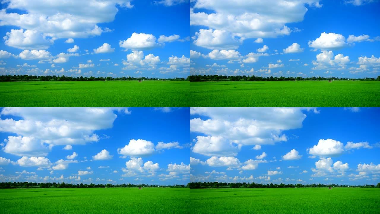 背景在美丽的农场上移动云层