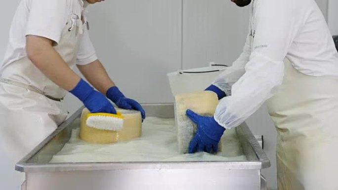 日记奶酪工厂。清洗奶酪形状