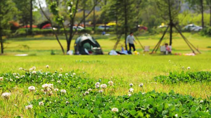 游客在露营地搭帐篷度假享受大自然