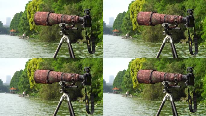 三脚架相机镜头拍鸟设备