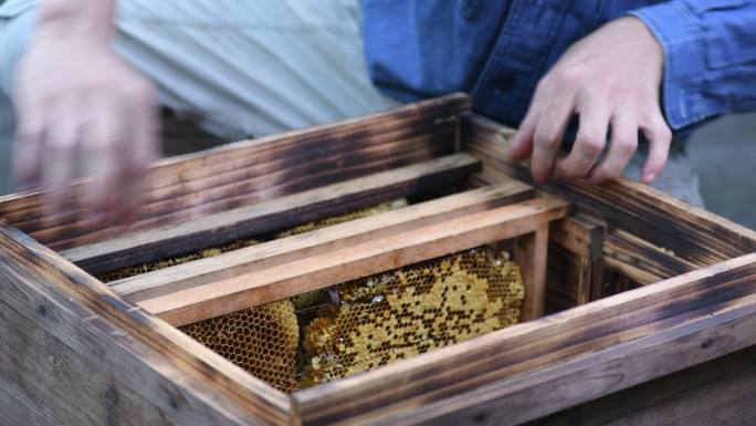 养殖蜜蜂 蜂箱