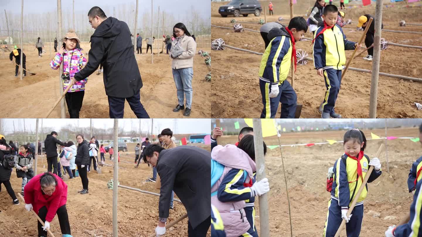 实拍小学生植树