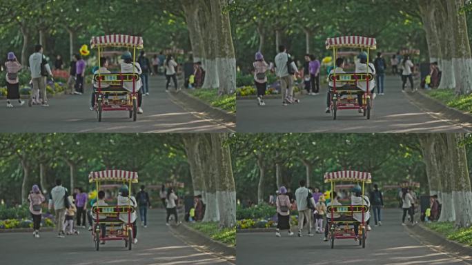 公园观光车多人脚踏车