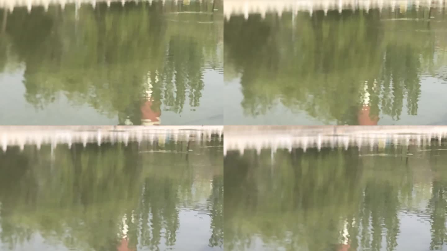 池塘 河水 燕子飞