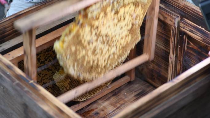 养殖蜜蜂 蜂箱