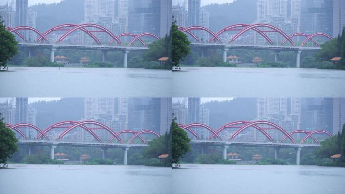 深圳罗湖彩虹桥交通迎面飞来一只鸟