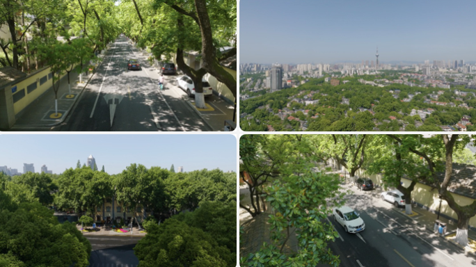 颐和路 洋房 城市绿化 南京城市地标