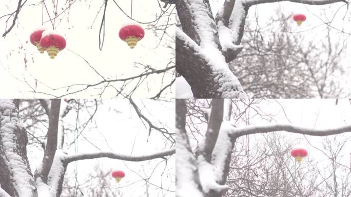大树积雪红灯笼