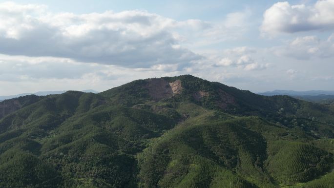 林业宣传片南方山脉地貌