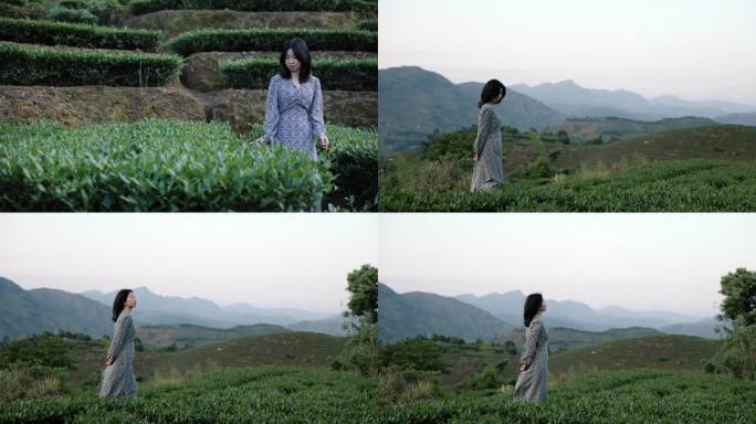 大自然美丽女孩在茶园中散步茶山美景
