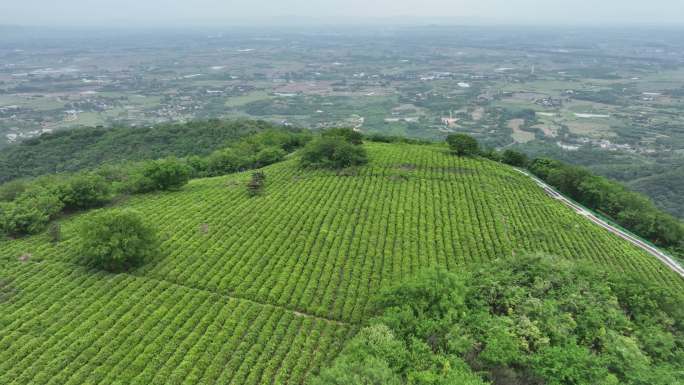 航拍合肥肥东浮槎山森林公园，浮槎山素材