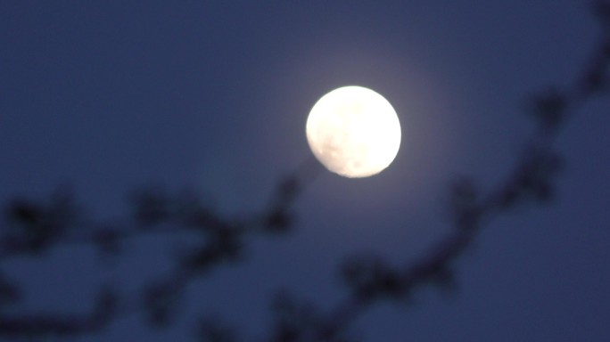朦胧月亮唯美蓝月亮晚安十五的月亮十六圆