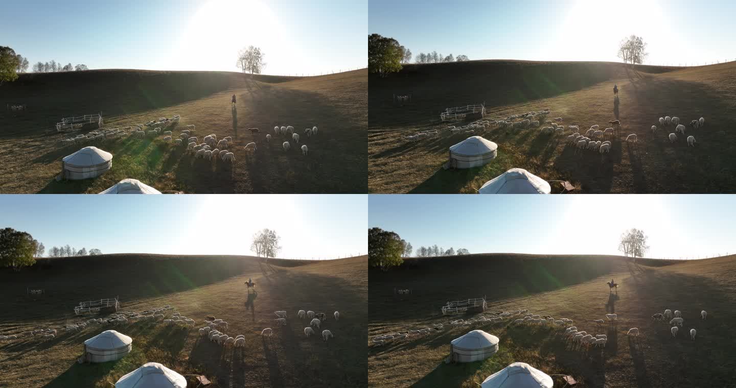 乌兰布统的草原落日的羊群蒙古包