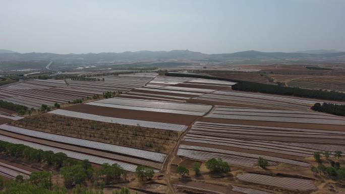 农田航拍春季播种机械化播种