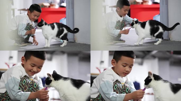 小朋友用猫粮喂猫