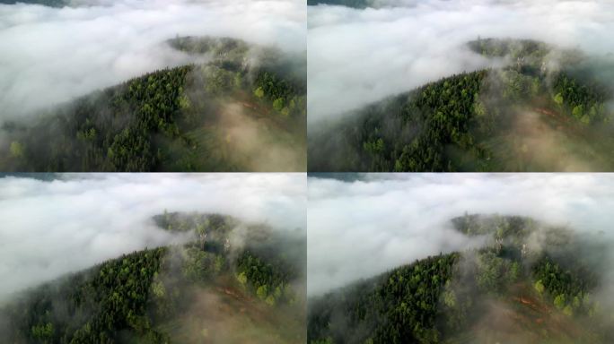 云雾山林信号塔