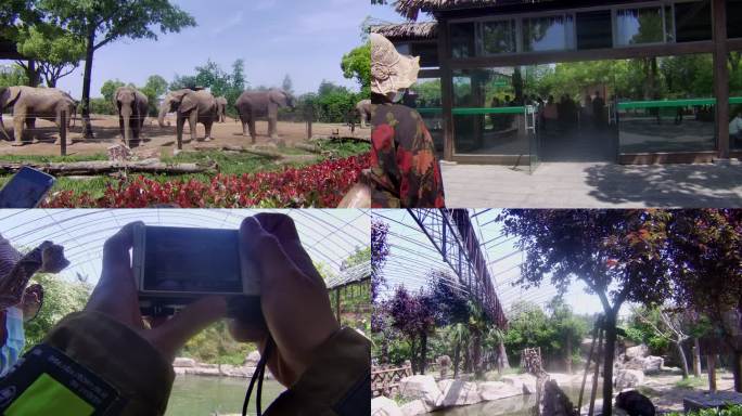 动物园 拍摄 相机 上海 白天0006
