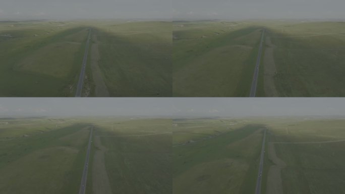 阿尔山的林业航拍牛羊群