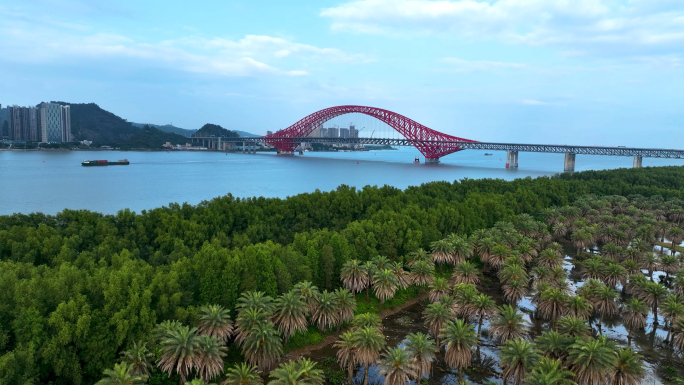 青绿色调的明珠湾大桥航拍素材