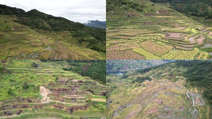 贵州山区梯田