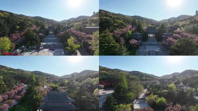 航拍初夏的石岛赤山风景区