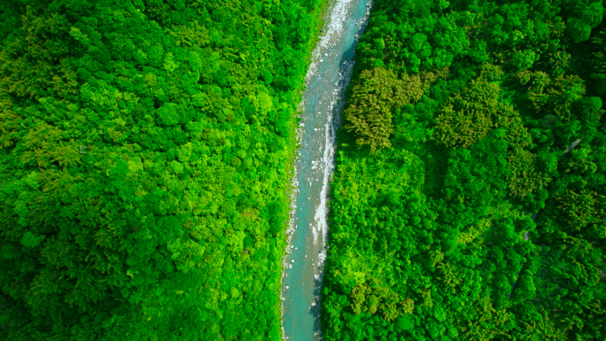 大山深处航拍 4K