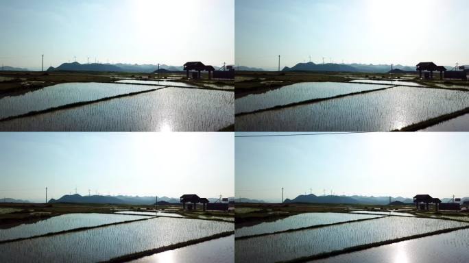 晚霞 灌水 农业 种植 乡村 北方稻田