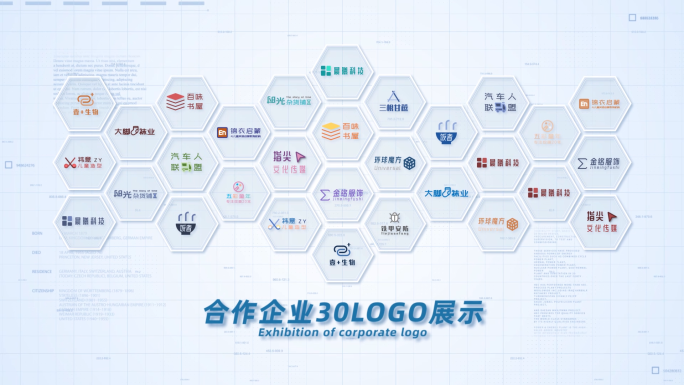 （14-30logo）简洁多logo包装