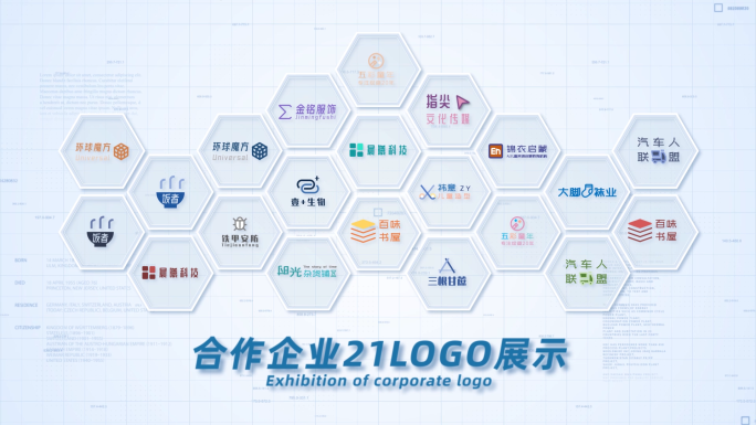 21合作企业公司logo标志展示AE