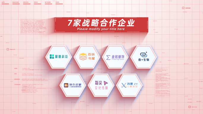 【7】企业合作加盟七大logo展示