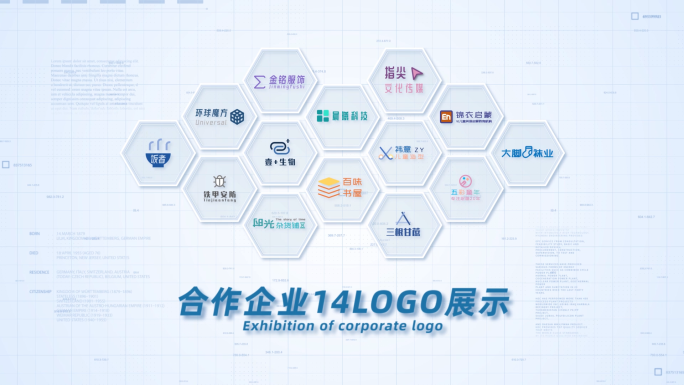 14合作企业公司logo标志展示AE