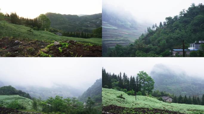 4k四川宜宾大山村落人家下雨雾日落延时