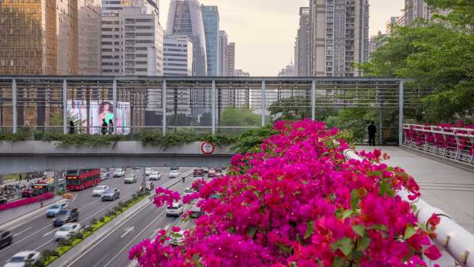 广州车流人流延时CBD花城广场人行天桥