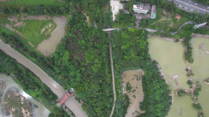 国际红树林中心：深圳福田红树林保护区