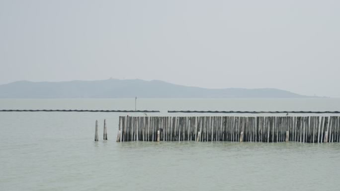 4K苏州太湖渔港村远眺漫山岛，太湖风景