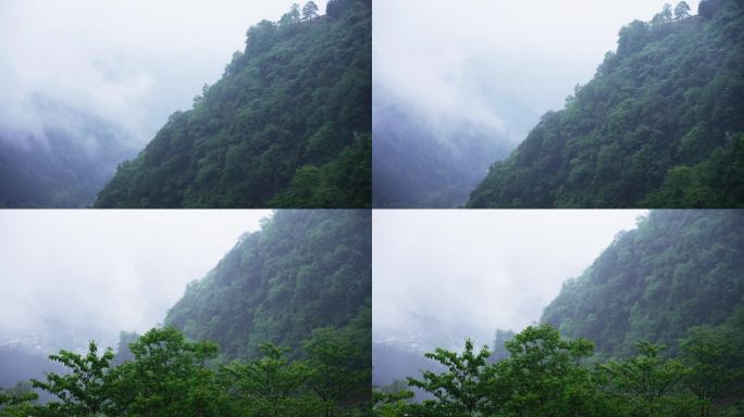 4k大山深处山林刮风下雨雨雾气延时空镜